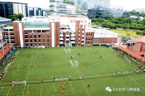新加坡各国际学校学费汇总 ay2020 21
