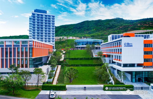 瑞和案例 设计施工一体化 华润小径湾贝赛思国际学校