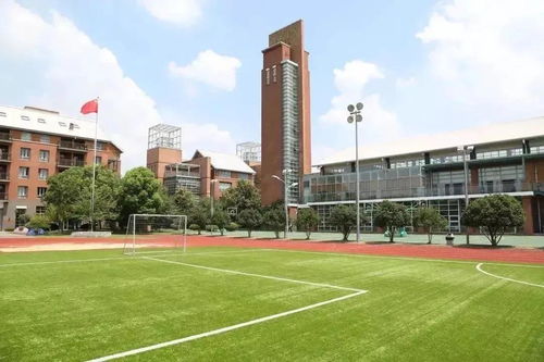 徐汇 长宁 松江 青浦,谁才是魔都国际学校 天花板 四区国际学校盘点