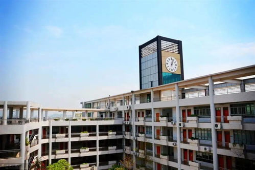 入学 插班 探校别错过 南山 福田 宝安 罗湖学校开放日来袭