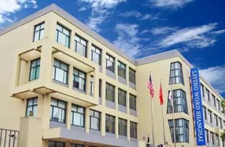 上海14所国际学校2019年的录取情况盘点