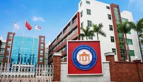最新 深圳双语 国际学校春季插班学位告急,抓紧报名...