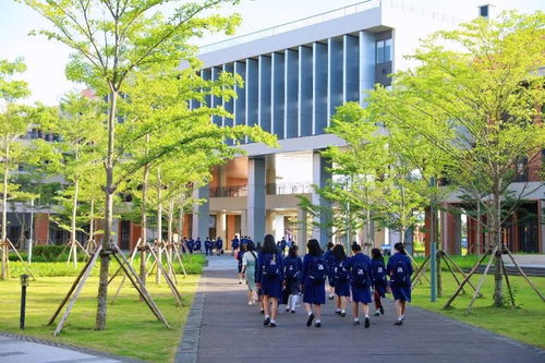 第一批去海南国际学校 吃螃蟹 的00后,现在怎么样了