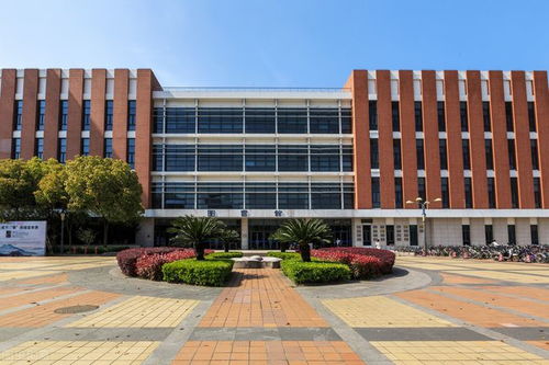 广州贝赛思国际学校详细介绍