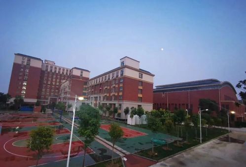 蕴含幼小初高 郑州这所学校2021年秋季新生预报名中,还有少量插班生名额 教学