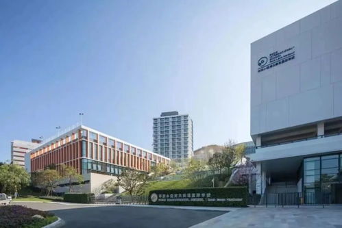 美国藤校最新国内录取曝光 广东这3所学校最强