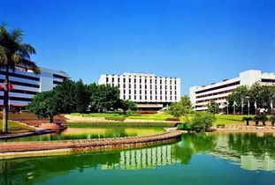 深圳大量引进顶尖大学之后,现在轮到中小幼教育了