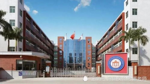 深国交 vs 深圳四大,谁才是深圳的top1国际学校