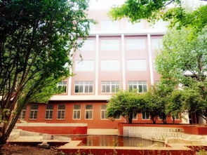 河北苍龙国际学校 2019年招生季，与你共赴国际教育新征程