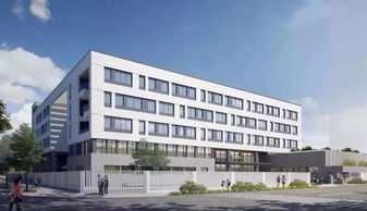 马上2020年,深圳新开的国际学校有哪些 哈罗,深国交新校区蓄势待发